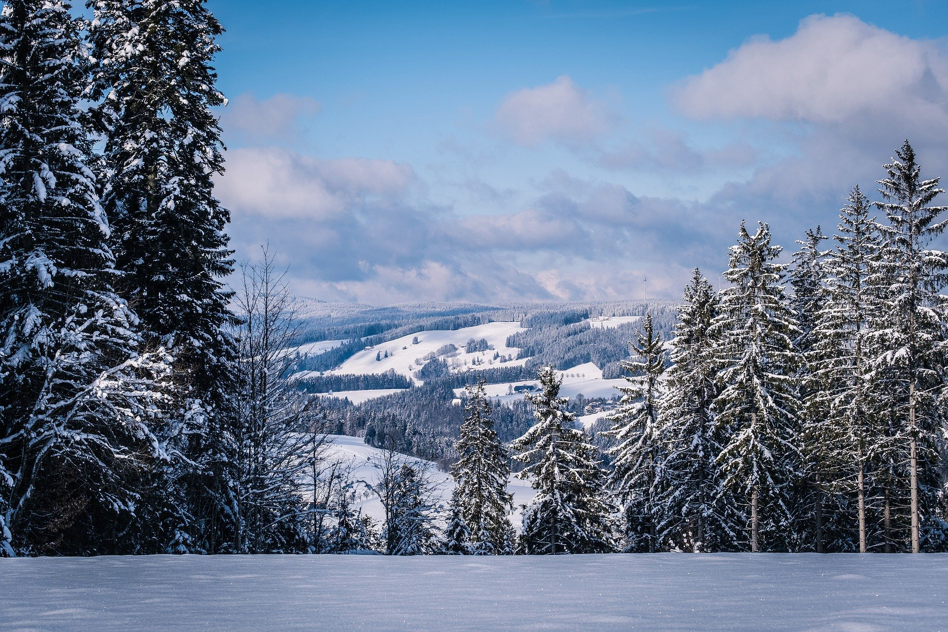 Schwarzwald im Winter02
